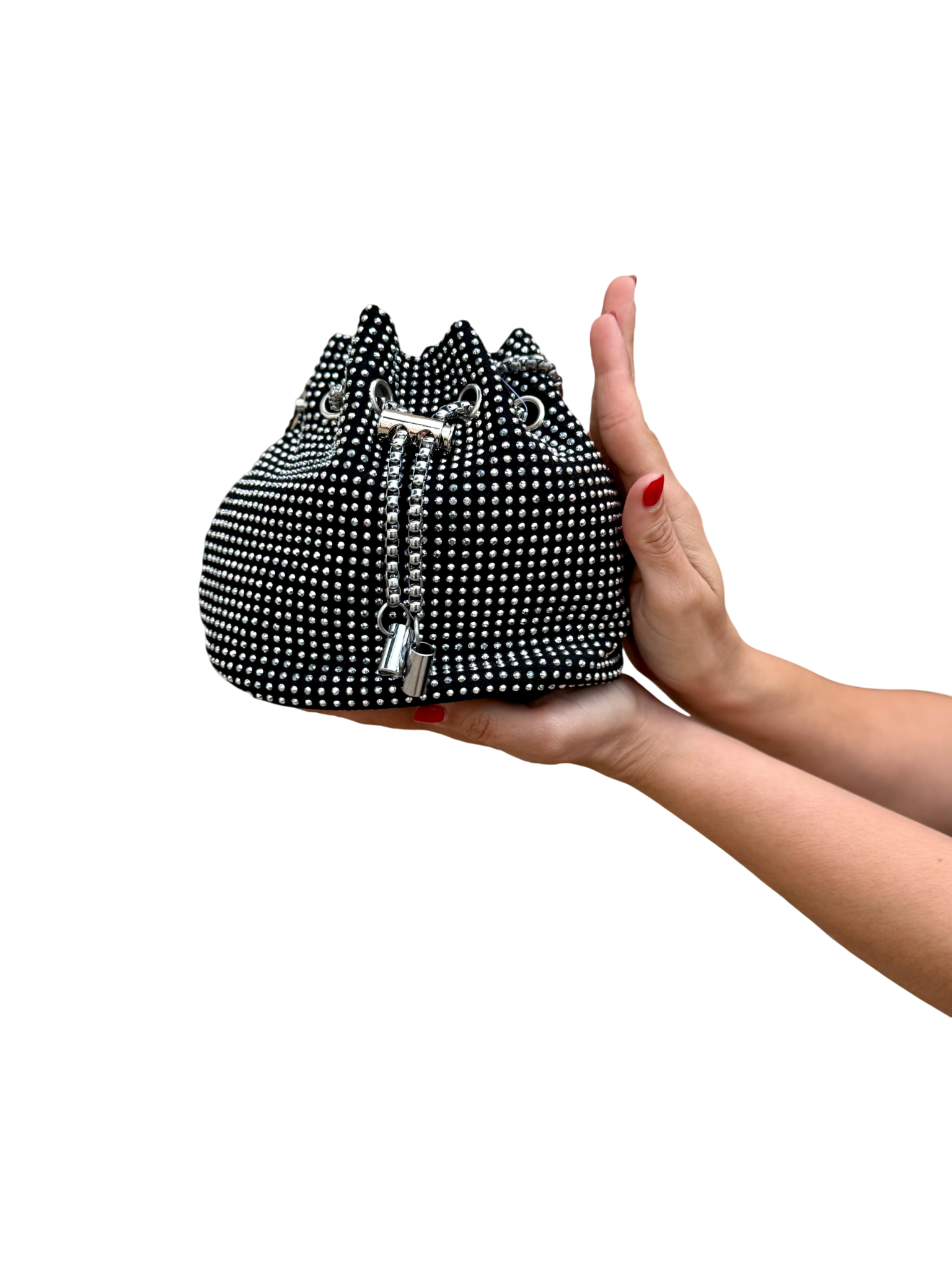 Limosnera Negro y Plata